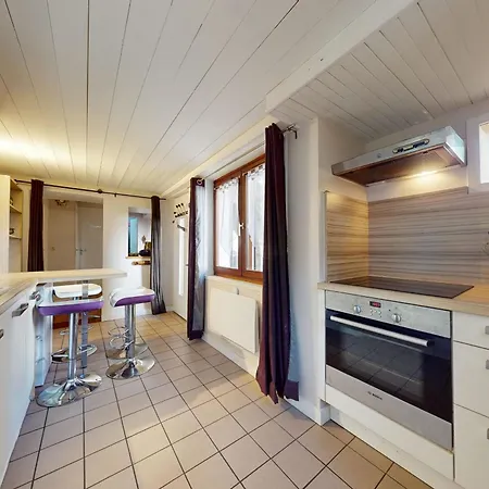 Le Petit Paradis - Joli T2 Idéalement Placé Au Pied Du Chateau * Annecy